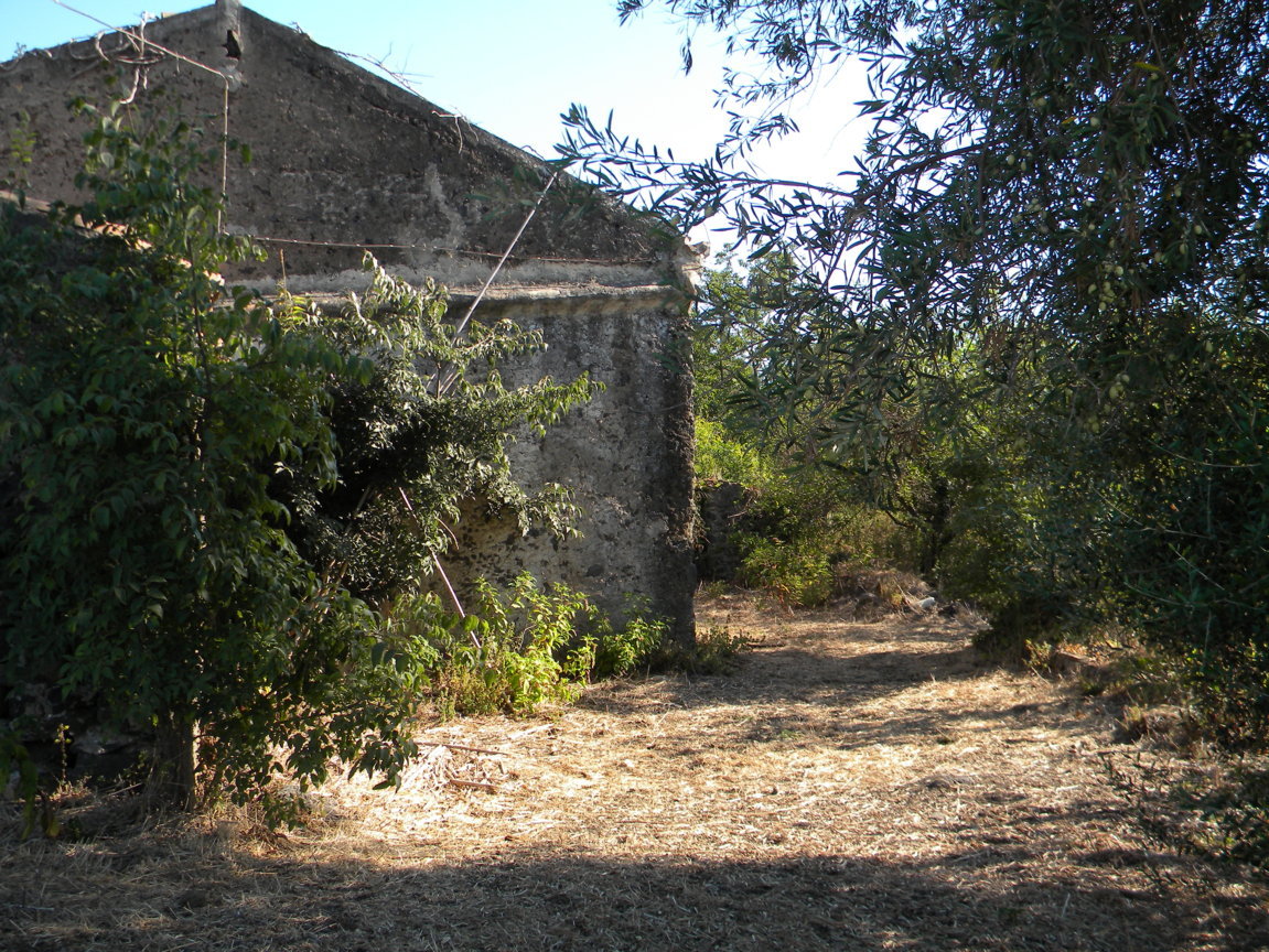 DSCN8117 .JPG